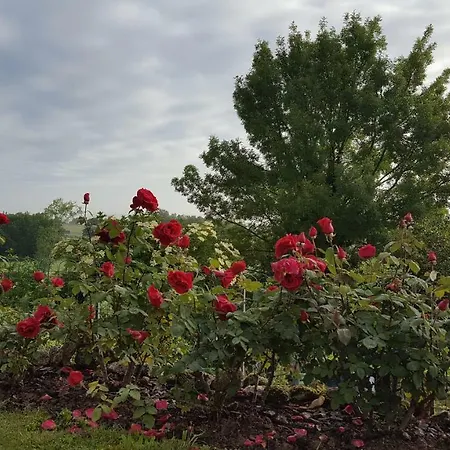 Bed and breakfast D'hotes Lamourio Montdoumerc