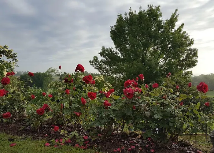 Oda ve Kahvaltı D'hotes Lamourio Montdoumerc